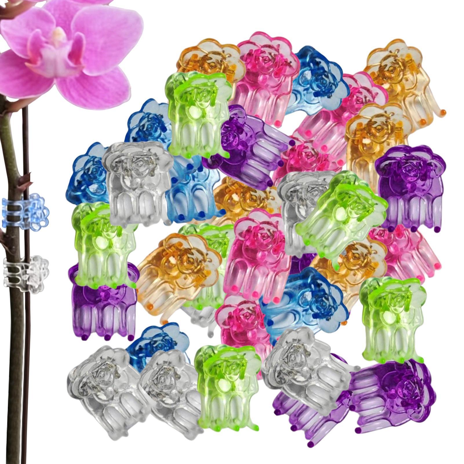 Florist Supp - Orchid Clips 60 Pieces Butterfly Flower