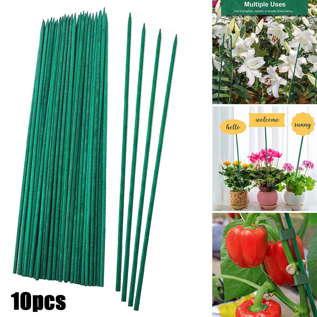 Florist Supp - 10pcs 40cm Green Plant Support Sticks