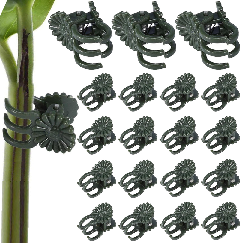 Florist Supp - 20/50/100PCS Plant Clips Vine Clamp Plant