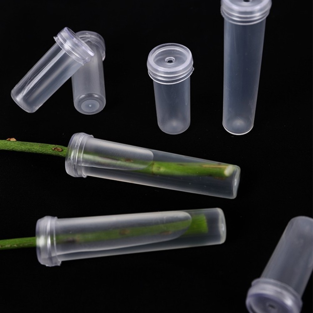 Long Lasting Floral Water Vial - Florist Supply Wholesale ulasan dan harga
