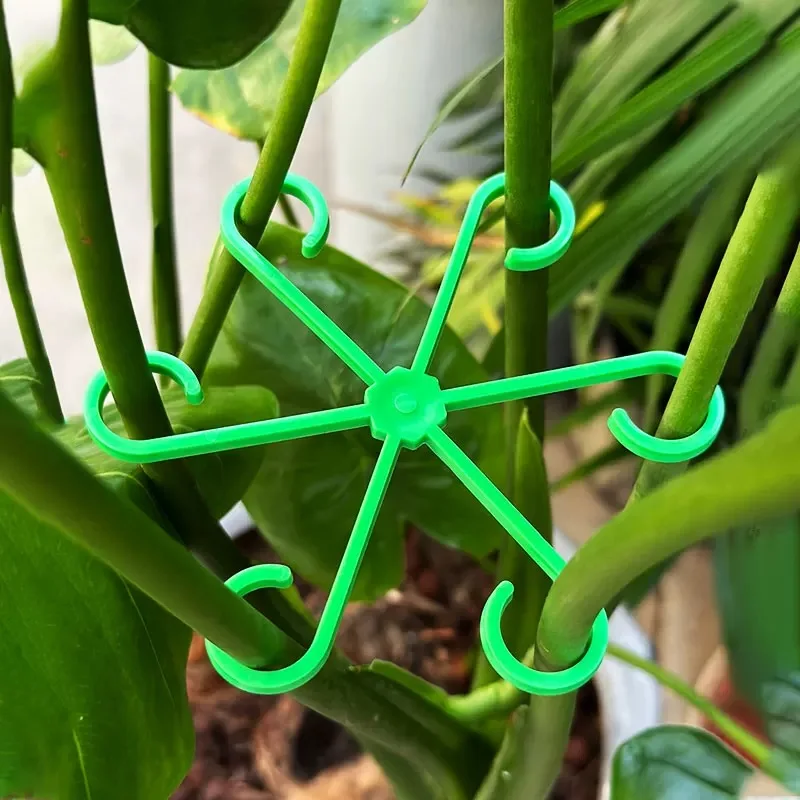 Flower Plant Stem Support Stak - Florist Supp ulasan dan harga