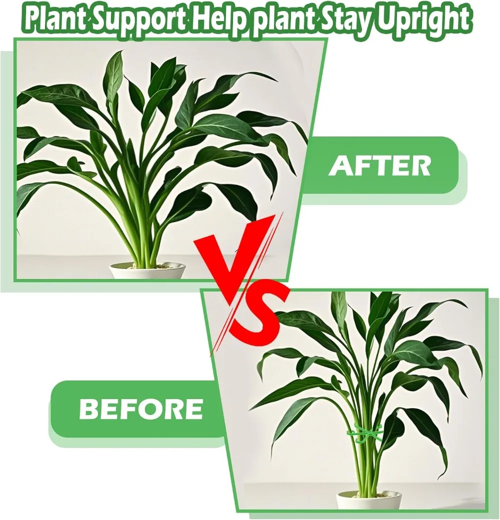 Flower Plant Stem Support Stak - Florist Supp ulasan dan harga