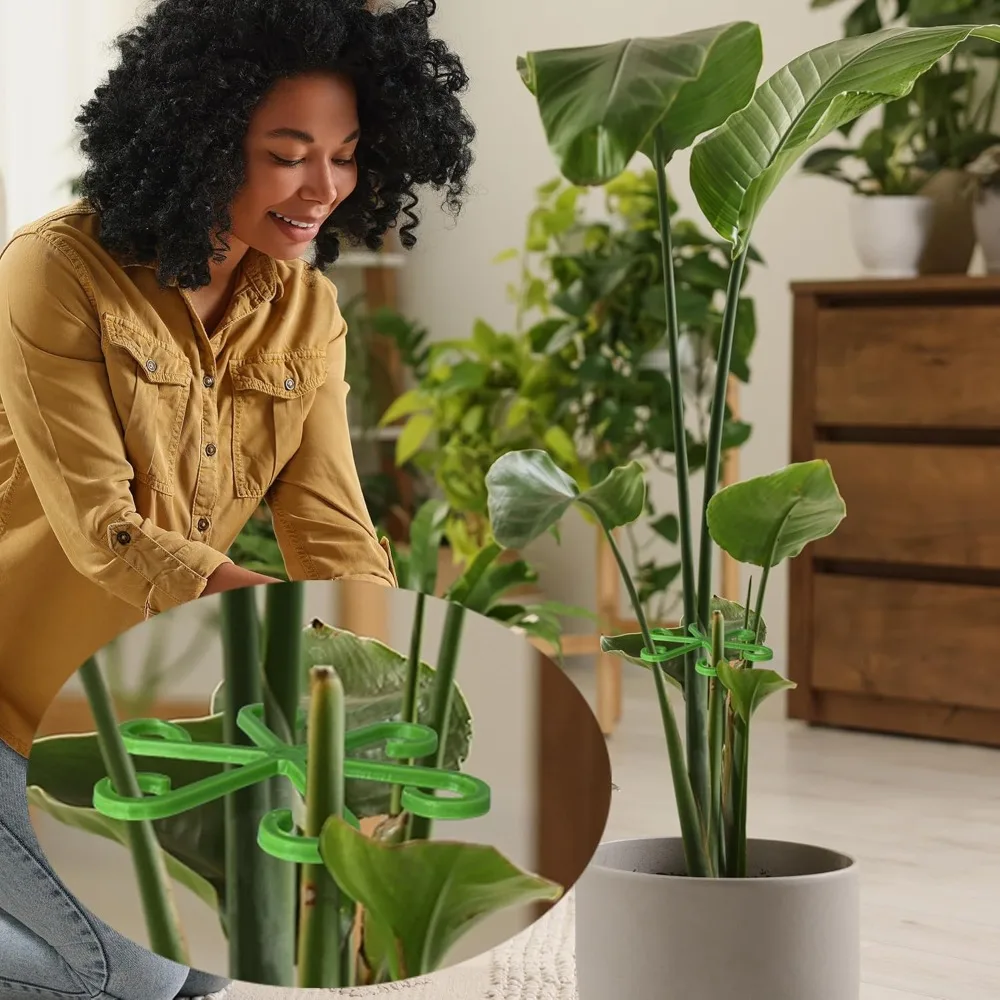 Flower Plant Stem Support Stak - Florist Supp ulasan dan harga