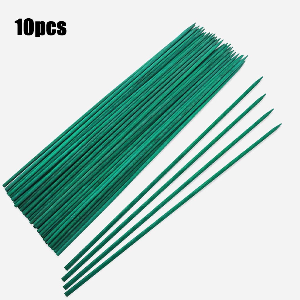 10pcs 40cm Green Plant Support - Florist Supp ulasan dan harga