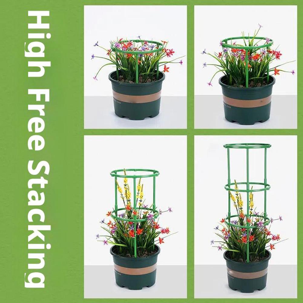 Tomato Cages Trellis Plastic C - Florist Supp ulasan dan harga