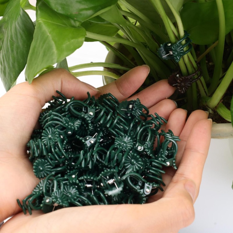 Wholesale Mini Plant Support C - Florist Supp ulasan dan harga
