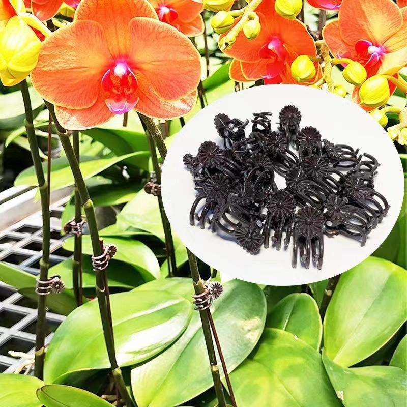 Wholesale Mini Plant Support C - Florist Supp ulasan dan harga