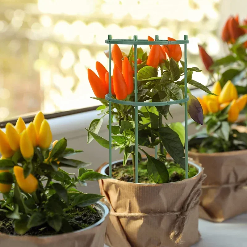 Plastic Plant Support Pile Sta - Florist Supp ulasan dan harga
