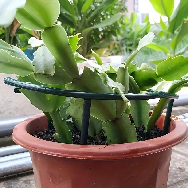 30-1PCS Plastic Plant Support  - Florist Supp ulasan dan harga