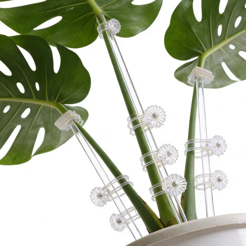 Reusable Clear Flower Support  - Florist Supp ulasan dan harga