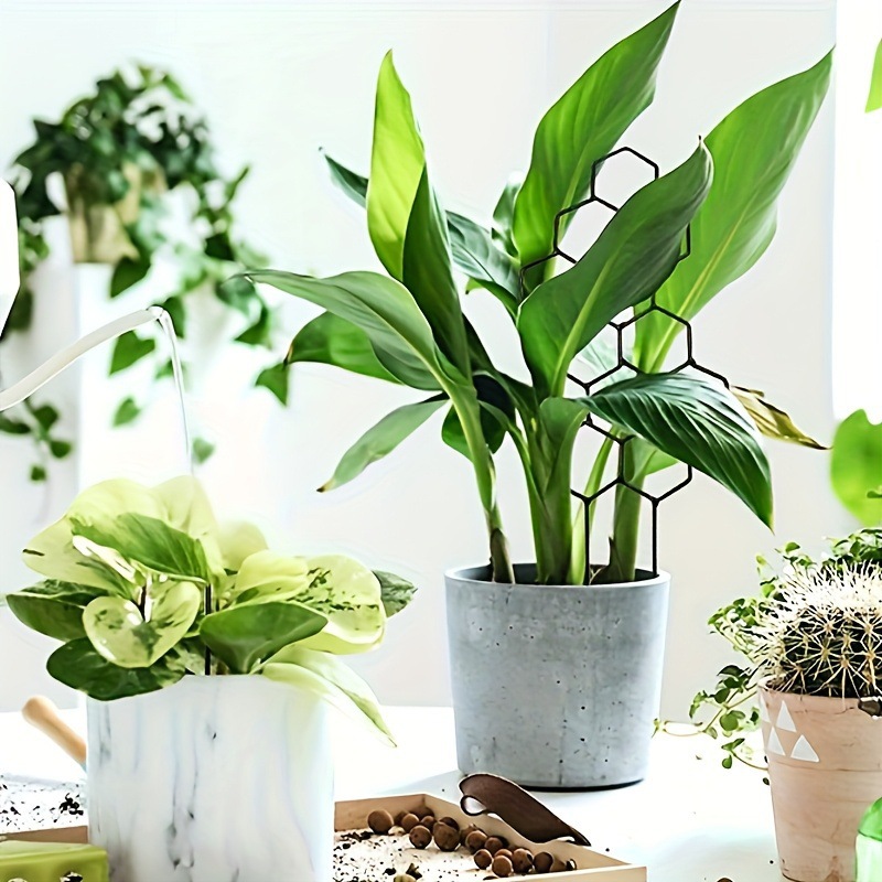 1PC Honeycomb Design Plant Tre - Florist Supp ulasan dan harga