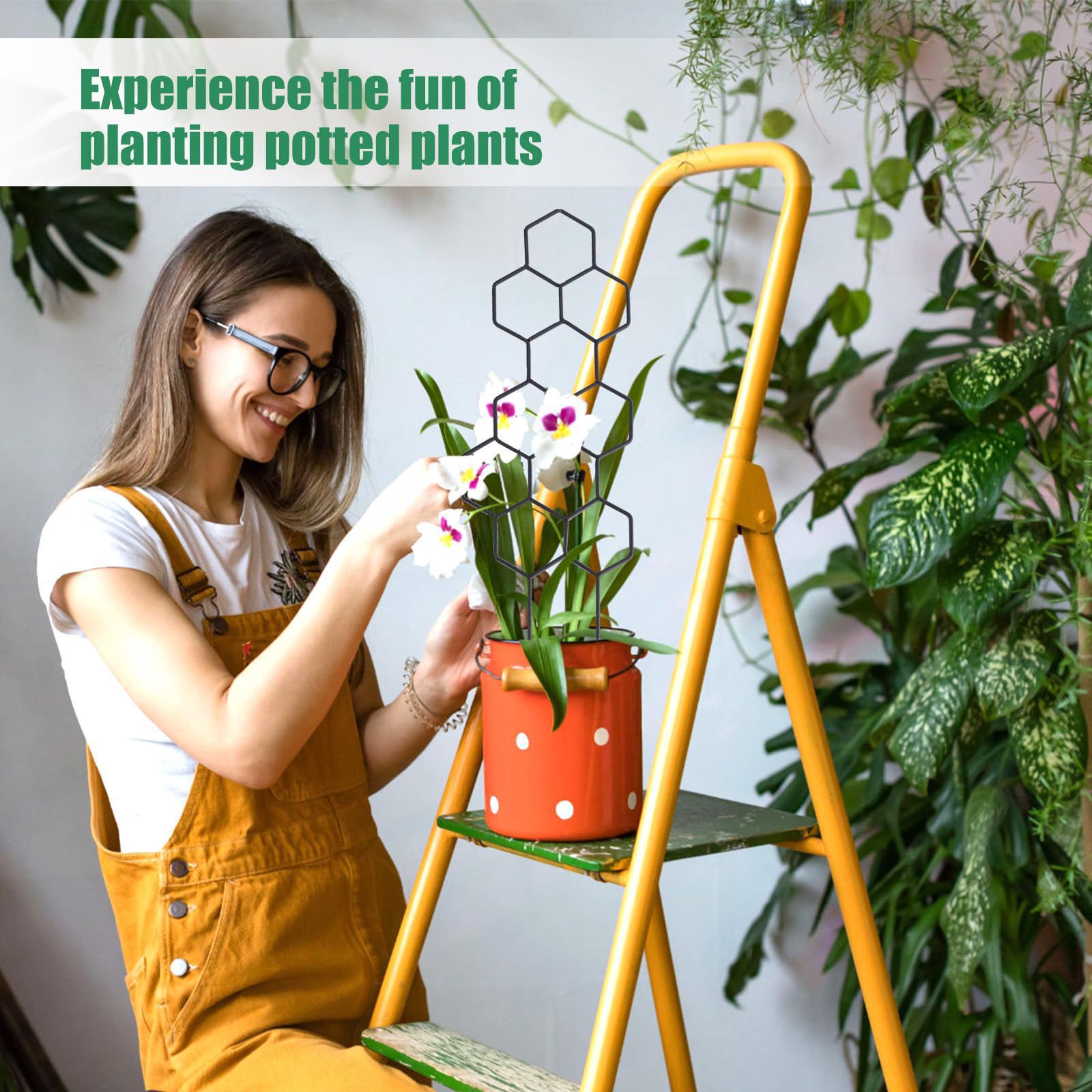 1PC Honeycomb Design Plant Tre - Florist Supp ulasan dan harga